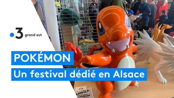 Pokémon : première édition du Pokheimon festival à Heimsbrunn