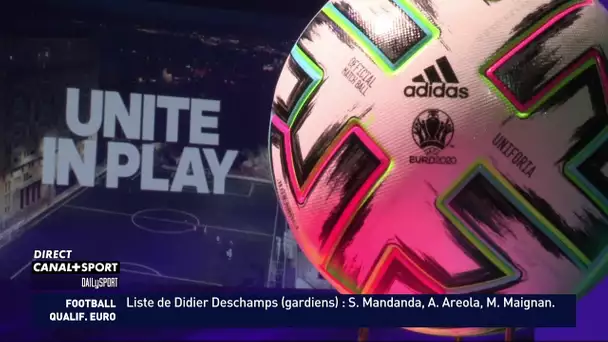 DailySport - Le ballon de l'Euro 2020 baptisé "Uniforia"