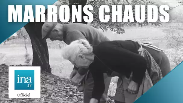 1961 : La traditionnelle récolte des châtaignes | Archive INA