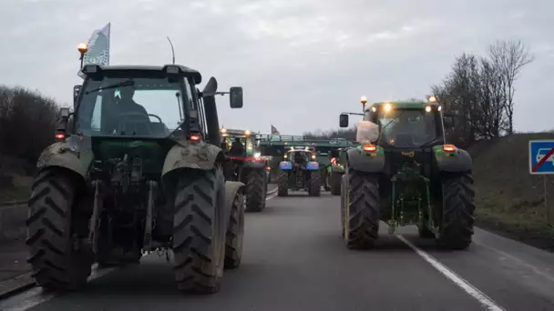Aux portes de Paris, les agriculteurs sur l’A16 se préparent pour arriver dans la capitale