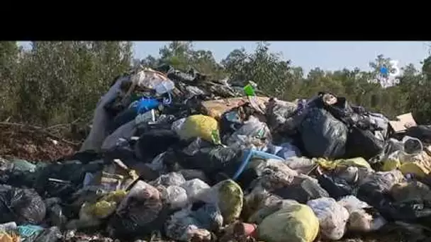 Décharge d’ordures ménagères dans la forêt de Casabianda: la vidéo qui choque