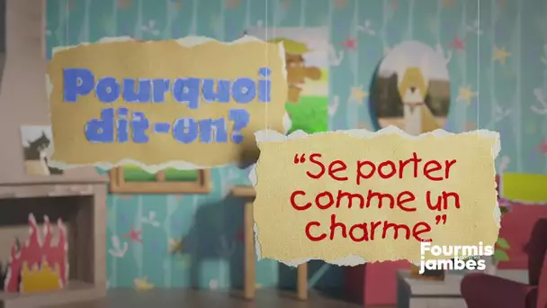 Pourquoi dit-on : "Se porter comme un charme" ?