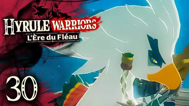 Hyrule Warriors : l'Ère du Fléau #30 : LA GUERRE DES PIAFS !