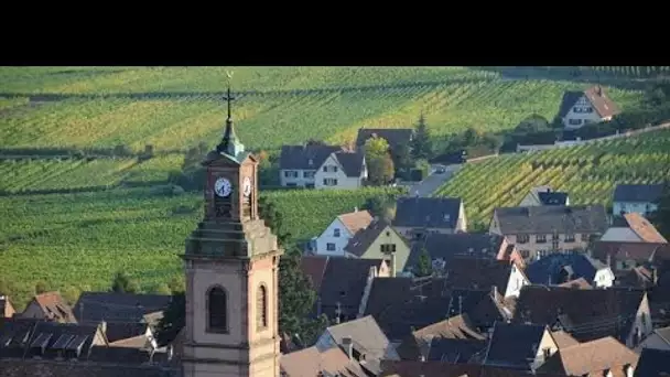 Tourisme : L’Alsace à nouveau sacrée « région la plus accueillante de France » par les utilisateurs