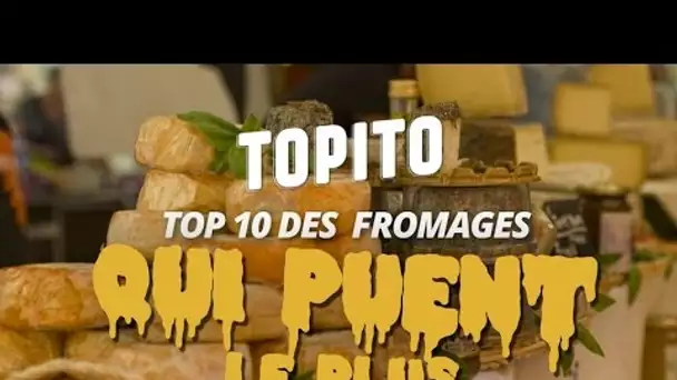 Top 10 des fromages qui puent le plus selon un robot (TopitoTV)