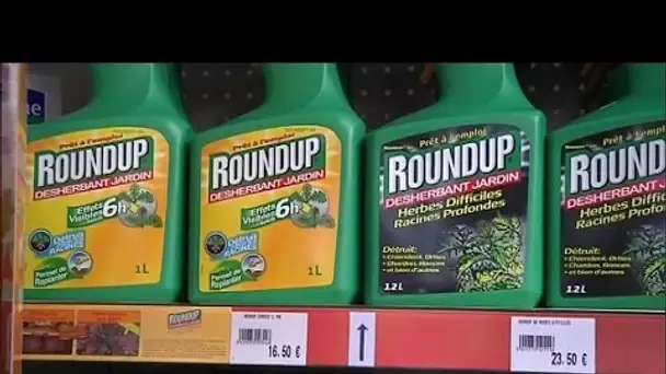 C&#039;est quoi le Roundup?