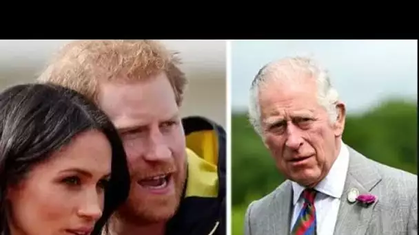 Le prince Harry et Meghan « ostracisés » par la famille royale alors que leur « réputation chute »