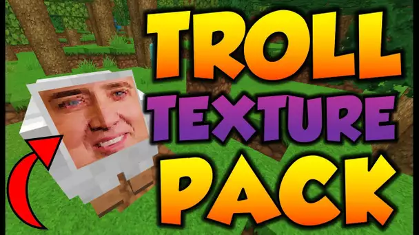 UN TEXTURE PACK TROLL !! TEXTURE PACK 1.8