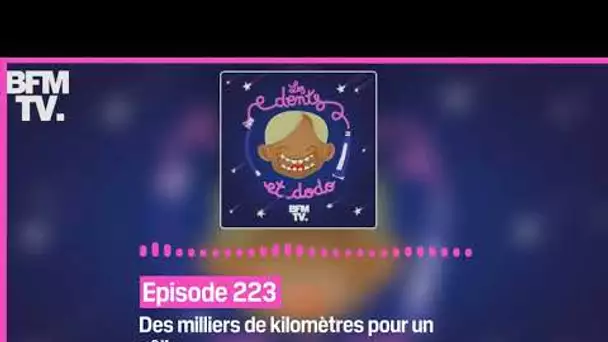 Episode 223 : Des milliers de kilomètres pour un câlin - Les dents et dodo