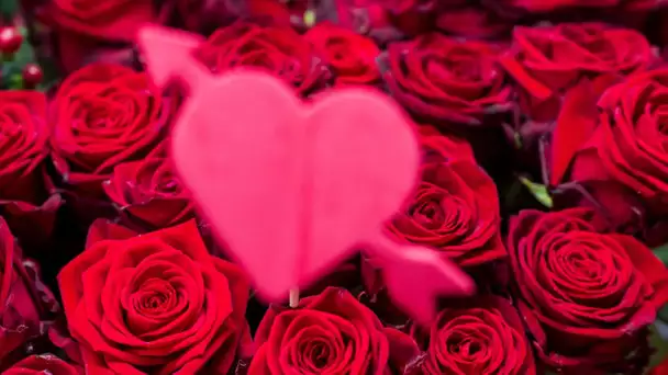 Saint-Valentin : les roses rouges sont trois fois plus chères et ne viennent pas de France