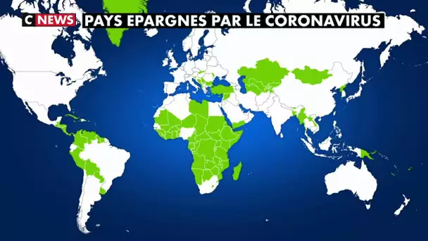 Quels sont les pays encore épargnés par l'épidémie de coronavirus ?