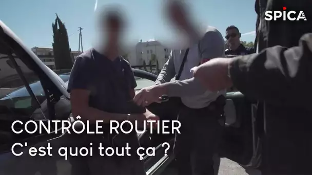 Mais c'est quoi tout ça ? Contrôle routier