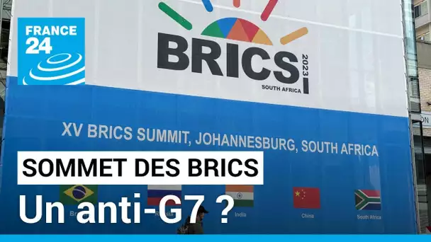 Sommet des Brics : un anti-G7 ? • FRANCE 24