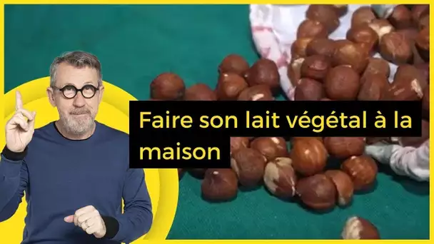 Faire son lait végétal à la maison  - C Jamy