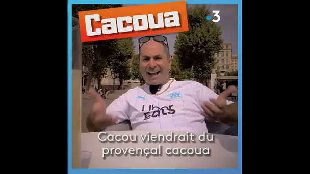 Parlez-vous le sud à Marseille ? Que veut dire "cacou" ?