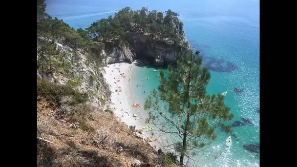 Trop plébiscitée, la plage de l'île Vierge à Crozon fermée au public