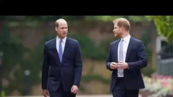Le prince William doit "tempérer" sa rencontre avec Harry et Meghan après des "dommages intentionnel