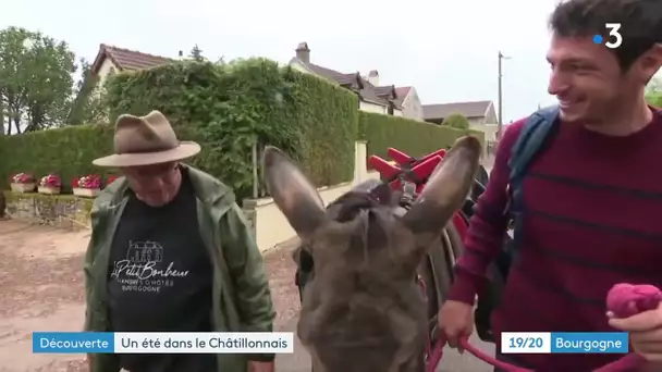 Page été : le Châtillonnais et le Parc national de forêts (EP.4)