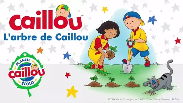 Caillou en français: l&#039;arbre de Caillou (Planète Écolo) | conte pour enfant | Caillou en Français