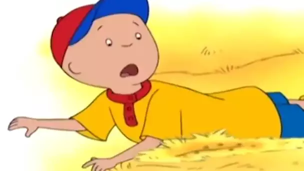 Caillou et la Surprise dans le Foin | Caillou en Français