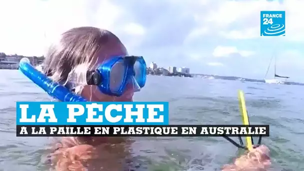 Australie, la pêche à la paille en plastique