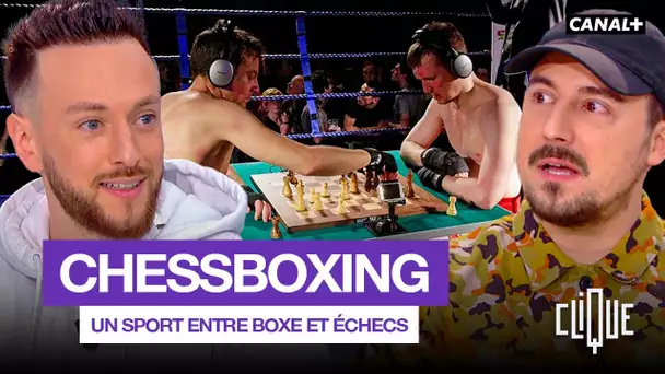 C'est quoi le chessboxing, ce sport qui mêle boxe et échecs ? - CANAL+