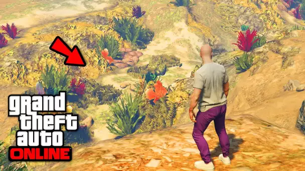 GTA 5 ONLINE SANS EAU