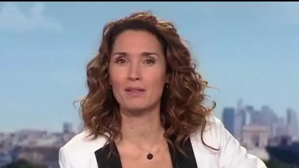 Marie-Sophie Lacarrau sur le départ : pourquoi TF1 se réjouit !