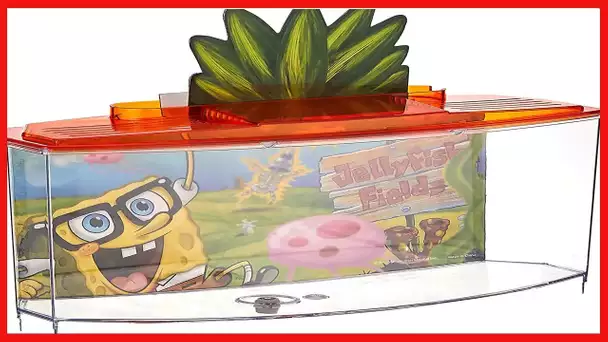 PENN-PLAX Spongebob Squarepants Officially Licensed Betta and Goldfish Bow Tank – Orange–0.7 Gallon