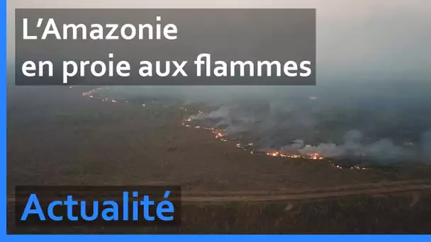 L'Amazonie part en fumée