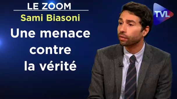 Statistiques : une dangereuse simplification du monde - Le Zoom - Sami Biasoni - TVL