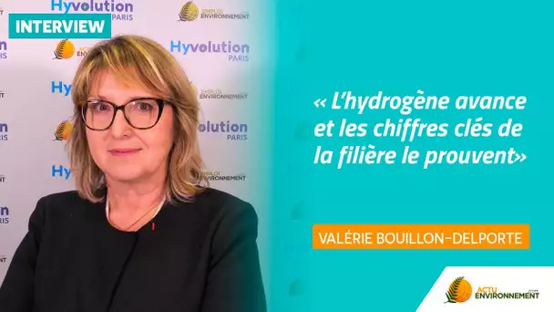 « L'hydrogène ça avance, et les chiffres clefs de la filière le prouve »