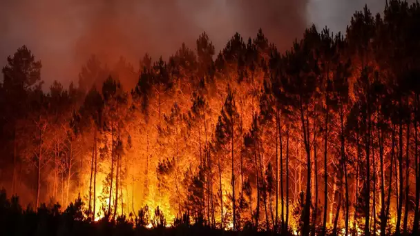 La lutte contre les feux de forêt passe aussi par les algorithmes
