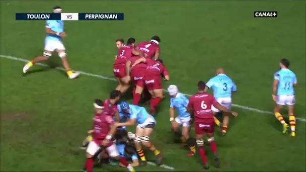 Top 14: Toulon / Perpignan