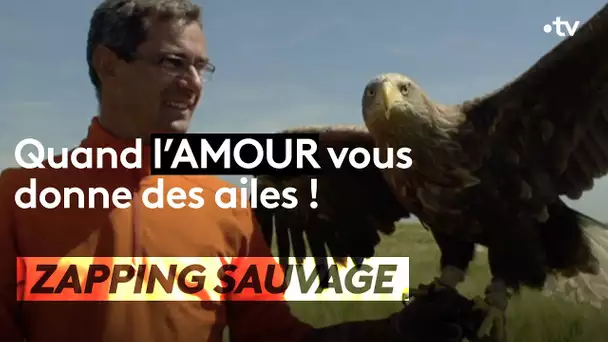 Cet homme apprend aux aigles à voler - ZAPPING SAUVAGE