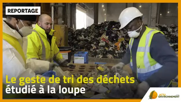 Le geste de tri des déchets étudié à la loupe