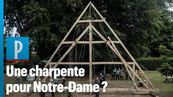 Notre-Dame de Paris : pourquoi la charpente doit renaître en bois et à l'identique (selon ces char
