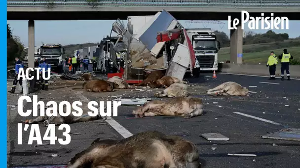 Un fiché S fait demi-tour après l'accident d'une bétaillère et sème le chaos sur l'A43