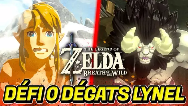 ZELDA BREATH OF THE WILD : RETOUR AVEC DÉFI HARD ☠️