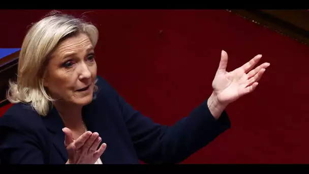 Panthéonisation de Manouchian : la polémique autour de la présence de Marine Le Pen