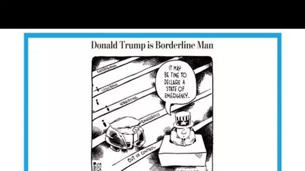 "Donald Trump, président borderline"