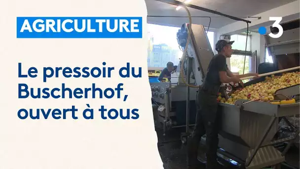 Le pressoir de la ferme du Buscherhof, ouvert aux particuliers et aux professionnels