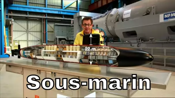 De quoi se compose un sous-marin nucléaire ? - C'est Pas Sorcier