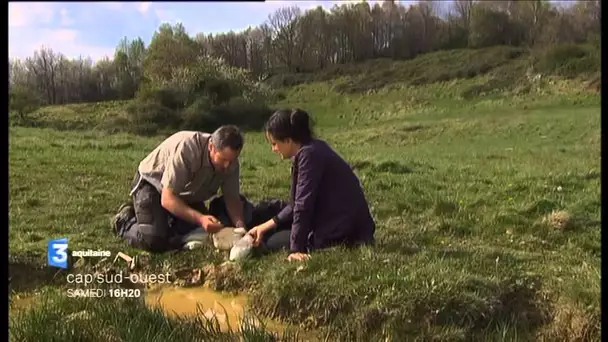 Cap Sud Ouest - Le Couserans en Ariège