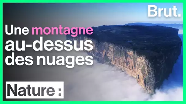 Le Mont Roraima, une montagne tabulaire au dessus des nuages