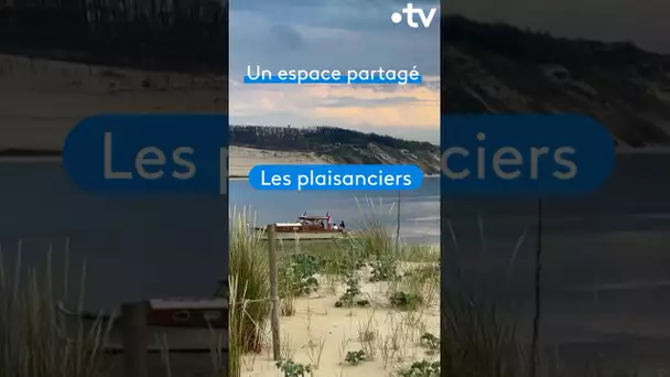 Le banc d’Arguin, un joyau fragile - NoA sur mer à retrouver sur france.tv