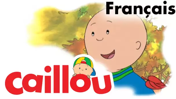 Caillou FRANÇAIS - Caillou râtelle les feuilles  (S01E30) | conte pour enfant | Caillou en Français