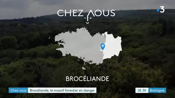 CHEZ VOUS - La forêt de Brocéliande en danger ?