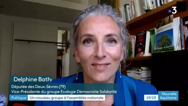 Delphine Batho et Guillaume Chiche entrent dans le nouveau groupe Ecologie, Démocratie, Solidarité
