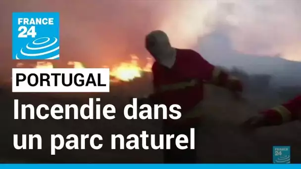 Le Portugal peine à venir à bout du feu dans un parc naturel • FRANCE 24